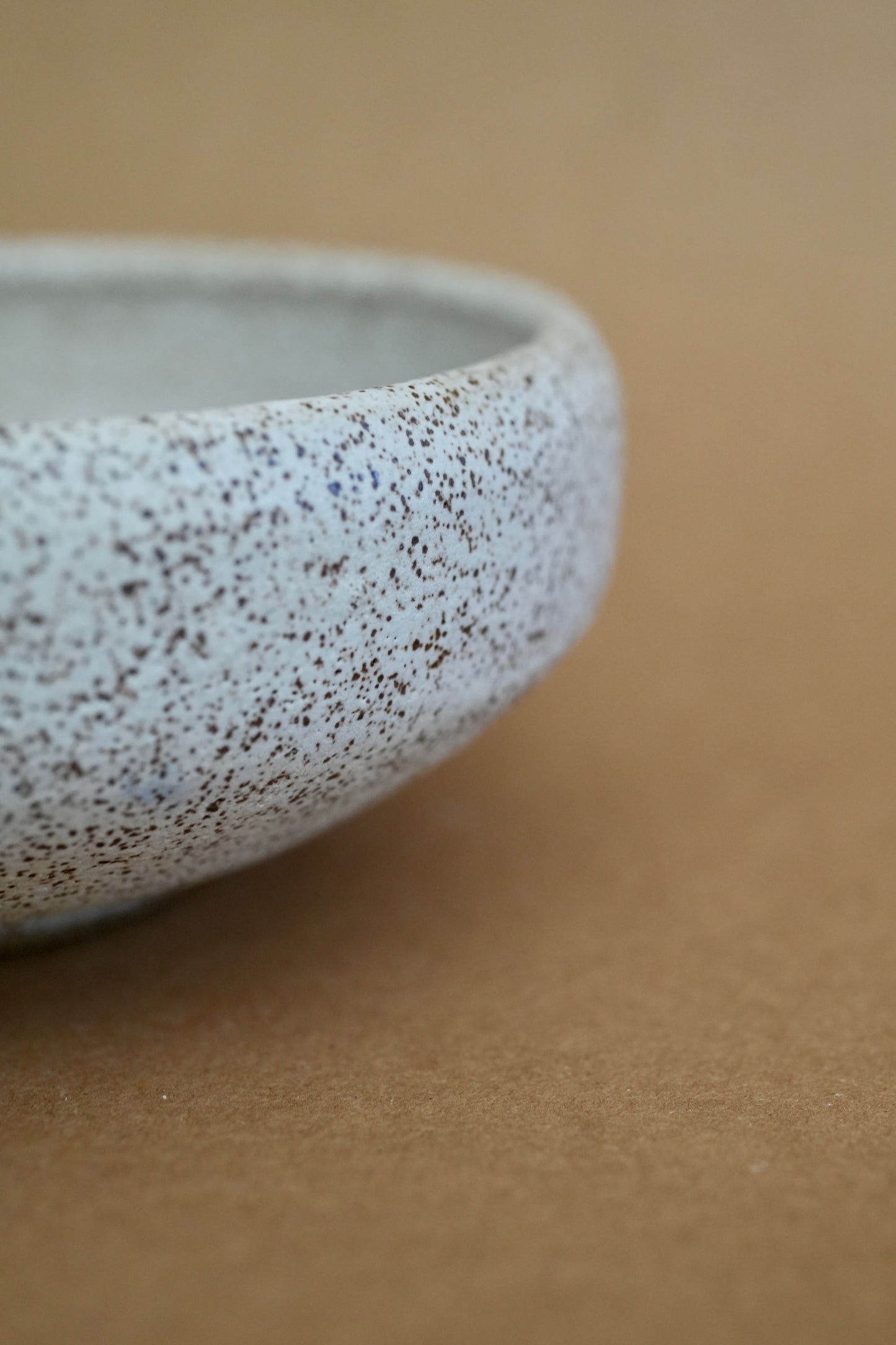 Clarito Speckled Bowl/Vase