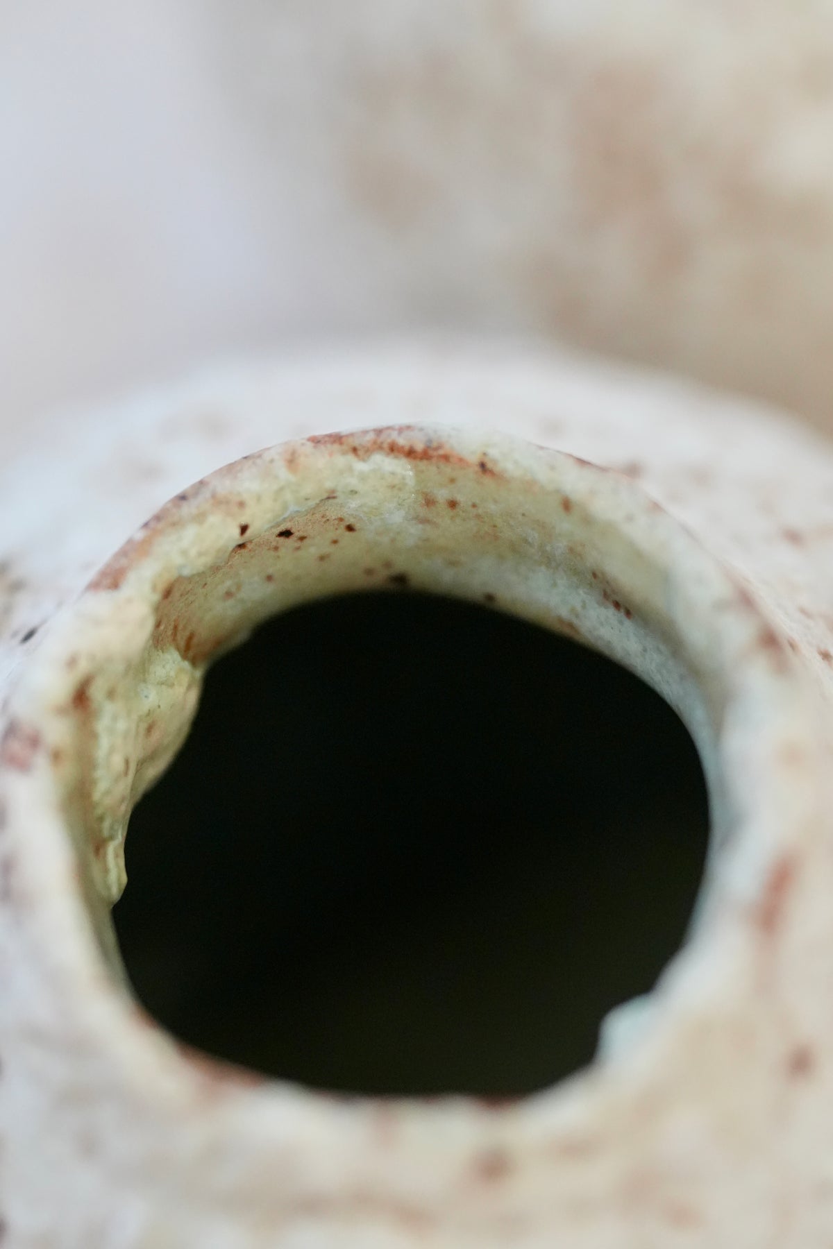 Nieve Andina Vase