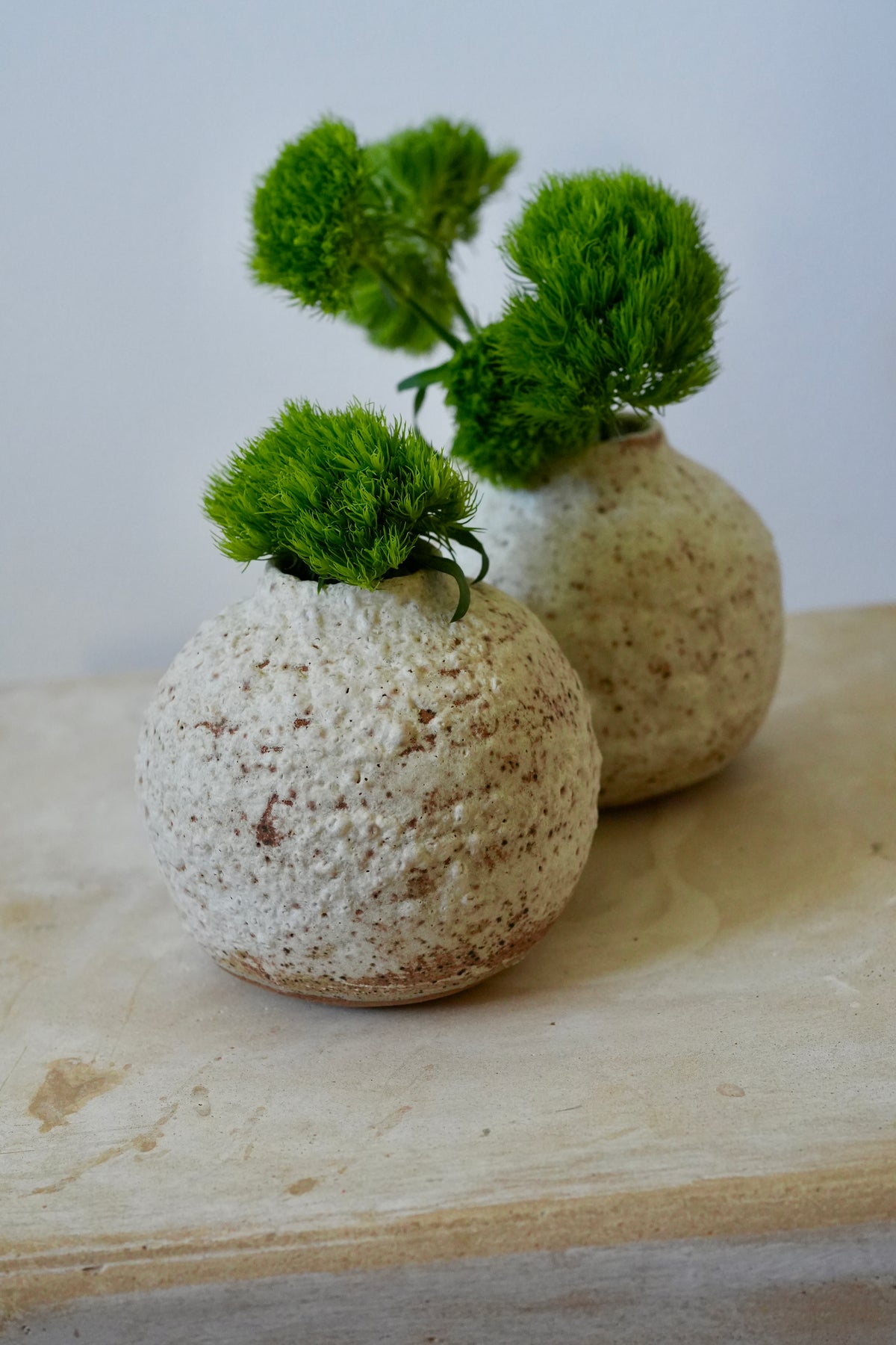Nieve Andina Vase
