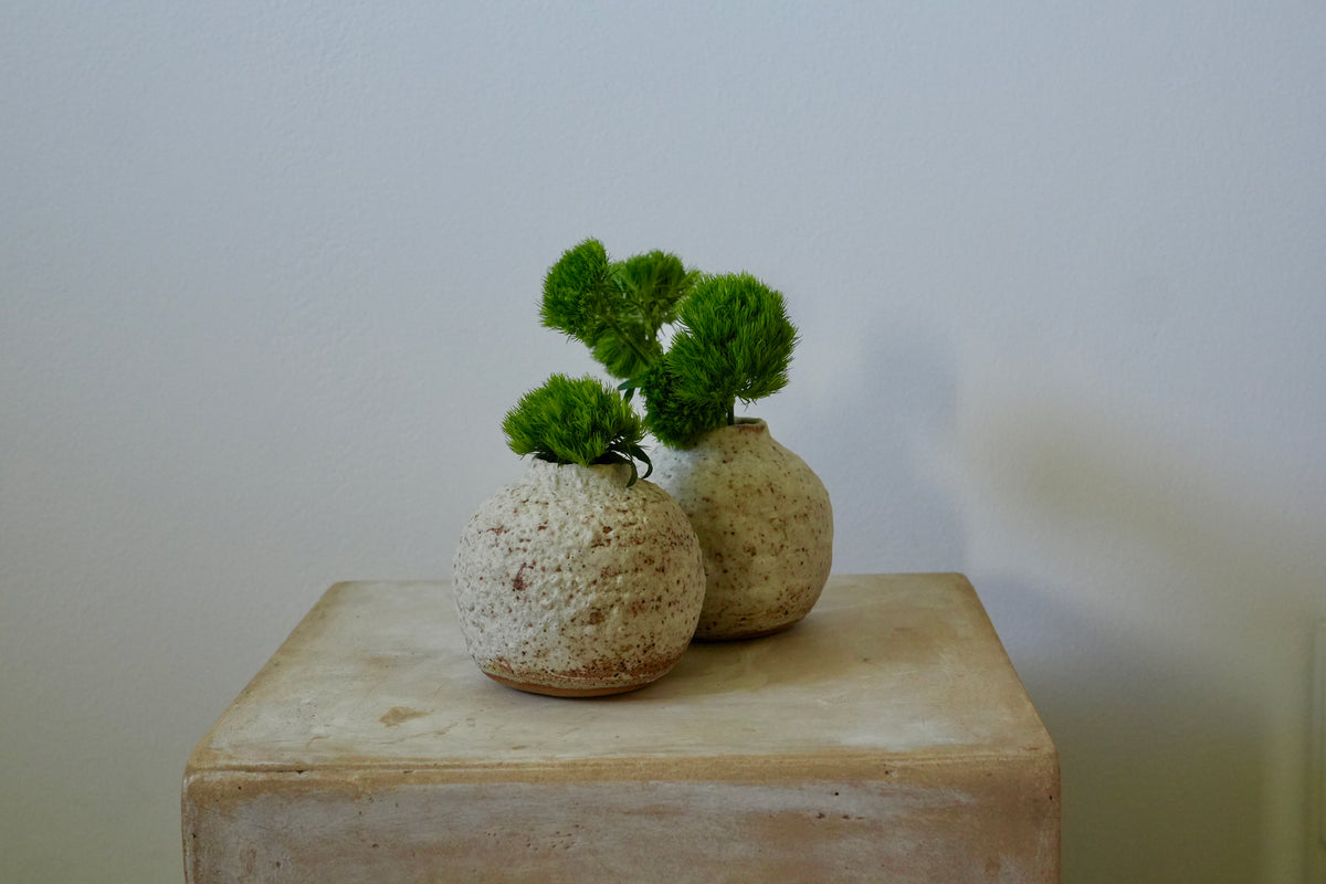 Nieve Andina Vase