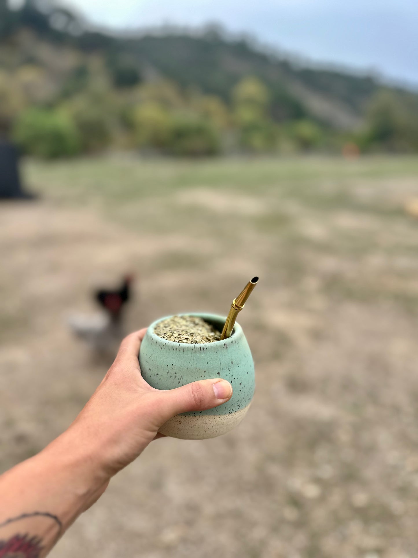 Tucumán Ceramic Yerba Maté Gourd